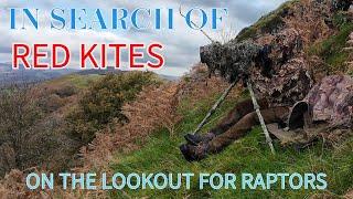 IN SEARCH OF RED KITES- USING HEIGHT TO GET BETTER SHOTS-UK RAPTORS