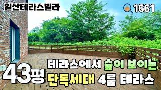 [일산테라스빌라]풍산역세권 & 한 층에 한 세대만 있는 단독세대, 아파트 4bay구조의 수납 좋은 큰 방 4개 43평 4룸테라스 풍동신축빌라