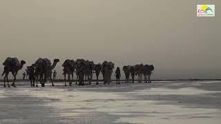 Dallol, Ethiopia