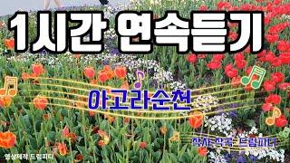 아고라순천,AGORA SUNCHEON,1시간 연속듣기, 작사 작곡 드림피디, 드림노래3집#5, 드림노래공작소