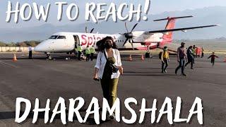 How to Reach Dharamshala from Delhi- By Road, Flight, Bus Cost 2022 | Trip Guide in HINDI