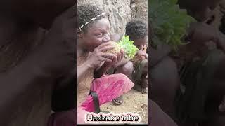 PINEAPPLE FOR HADZABE #hadzabetribe
