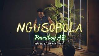 Ngusobola - Pawaboy AB (Visualizer & Lyrics)