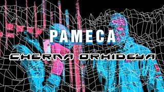 PAMECA - CHERNA ORHIDEYA/ ПАМЕЦА - ЧЕРНА ОРХИДЕЯ [OFFICIAL 4K VIDEO] 2023