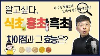 식초 홍초 흑초의 효능과 차이점은?