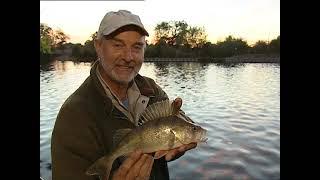 Record Breaking Fish Roach, Perch, and Zander