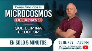 Cómo funciona el microcosmos de la mano QUE ELIMINA EL DOLOR EN SOLO 5 MINUTOS.