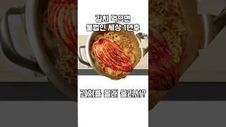 김치 먹으면 불법인 세상 1년후#낭만박상환#shorts#@낭만박상환 님패러디#패러디영상#패러디₩ #브롤유튜버 #brawledit #브롤스타즈 #youtube#뇌절