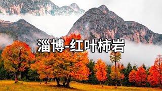 不容错过的赏秋之旅，淄博的红叶柿岩风景区，感受浪漫的秋日美景！【行走世界的北京老刘】