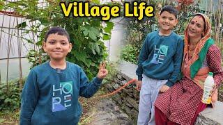 Beautiful Kedarvalley & Our Kitchen Garden || Abhi Yogi Tiwari || Pahadi Lifestyle Vlog ||