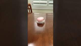 #satisfying #slime drops️#satisfyingvideo #asmr #makipockieslime