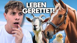 Ich BESUCHE einen ORT für gerettete TIERE 