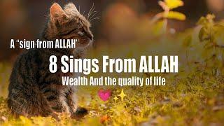 8 Signs from ALLAH For You  Wealth and the Quality of Life