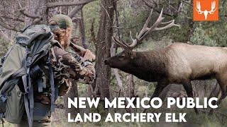 New Mexico Public Land Archery Elk | With The Element