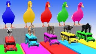 5 Giant Duck & Wild Animals Cage Game Cow Gorilla Rhinoceros Elephant Sheep Crossing Fountain 2