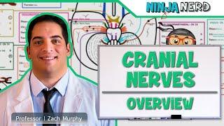 Neurology | Cranial Nerves: Overview