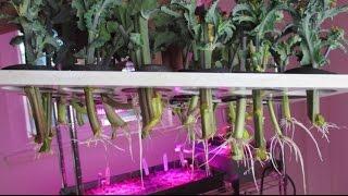 Aeroponics Cloner Update! Propagate Plants Fast & Easy From Cuttings!