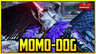 T8 v1.12 ▰ Momo-Dog Amazing Devil Jin !!【Tekken 8 High Level Gameplay】