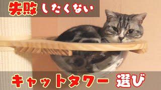 【猫グッズ】キャットタワー選びに重要な４つのポイントを解説！実際に購入した商品をレビュー！