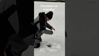 Поклевка на жерлицу