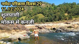 Narmada Parikrma 2024 | Narmada Parikrma Day 29 | Shoolpani Jhadi Marg Kanji @dharmyatri72