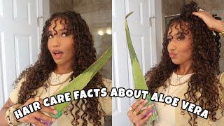 HAIR CARE | FACTS ABOUT ALOE VERA