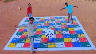 We Played Largest Saap Seedi | Snake And Ladder Game...