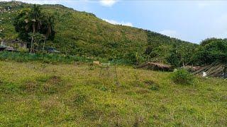 V#391 | Farm Lot 8000sqm  along the Road with cute Nipa | Tanay Rizal