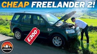 I BOUGHT A CHEAP LAND ROVER FREELANDER 2 FOR £300!