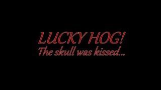LUCKY HOG- the skull was kissed...