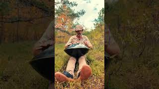 1234 hz handpan cranberry bog music #handpan