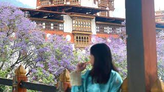 Bhutan Vlog 2  | Going to Punakha, Rafting, Visiting Dzongs and FOOD!