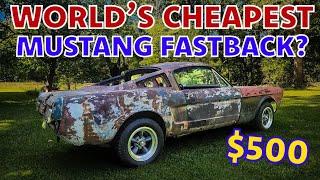 World's Worst Mustang Fastback??? Is it Even Worth Fixing after Sitting for 40 years?