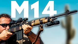 The All American Battle Rifle: M1A/M14