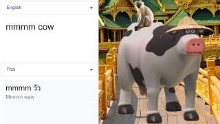 mmmm cow around the world meme