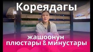 Кореядагы жашоонун плюстары жана минустары