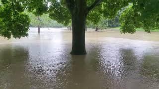 Flooded Park / Overflowing River / Applewood Hills Park