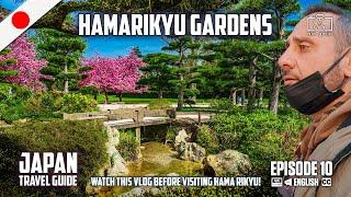 Hamarikyu Gardens Tokyo | Watch this VLOG before visiting Hama Rikyu!