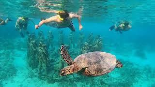 Turtle Point Gili Meno