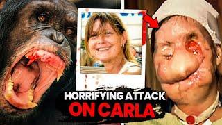 The horrifying Chimp  Attack on Charla Nash