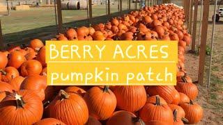 Berry Acres pumpkin patch