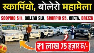 स्कार्पियो बोलेरो का महामेला | Scorpio, Bolero, Creta | Huge Car Stock Bihar | Second Hand Car 2025