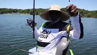 Fishing Tour | Glenn Springs Lake Tipton County Tennessee