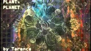 Terence McKenna - A Crisis Of Consciousness