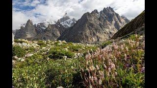 High altitude trekking in Pakistan - the Hispar La traverse Part II - in the Ogre's shadow