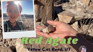 DO you KNoW how Agates FORM Yellow Cat Red Agate in Utah