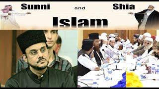 between Sunni and Shia Isalm 512-tv