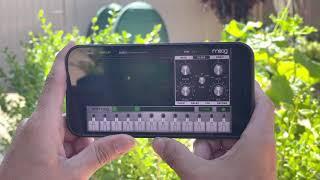 Animoog-iPhone: Moog’s Best App