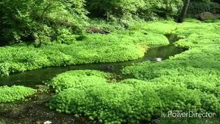 Step 4 Guided Meditation - Honesty and Self Love