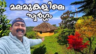 365 ദിവസവും കോടമഞ്ഞ് മൂടുന്ന സ്ഥലം | Sora Kuttikanam | Budget Resort in kuttikanam | LT Dreams